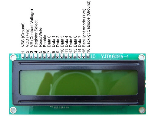 image21.jpg
