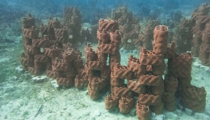 Коралл, напечатанный на 3D-принтере