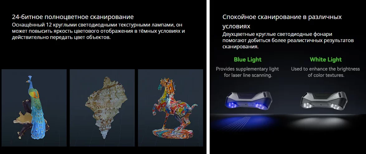 Cr Raptor 9.png Cr Raptor 9.png