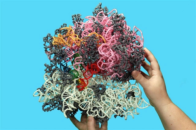 Макет структуры