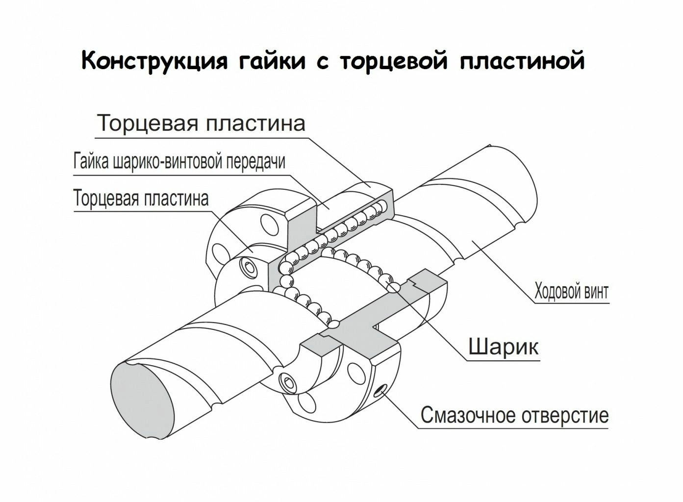 Tip-torcevoj-plastinoj.jpg