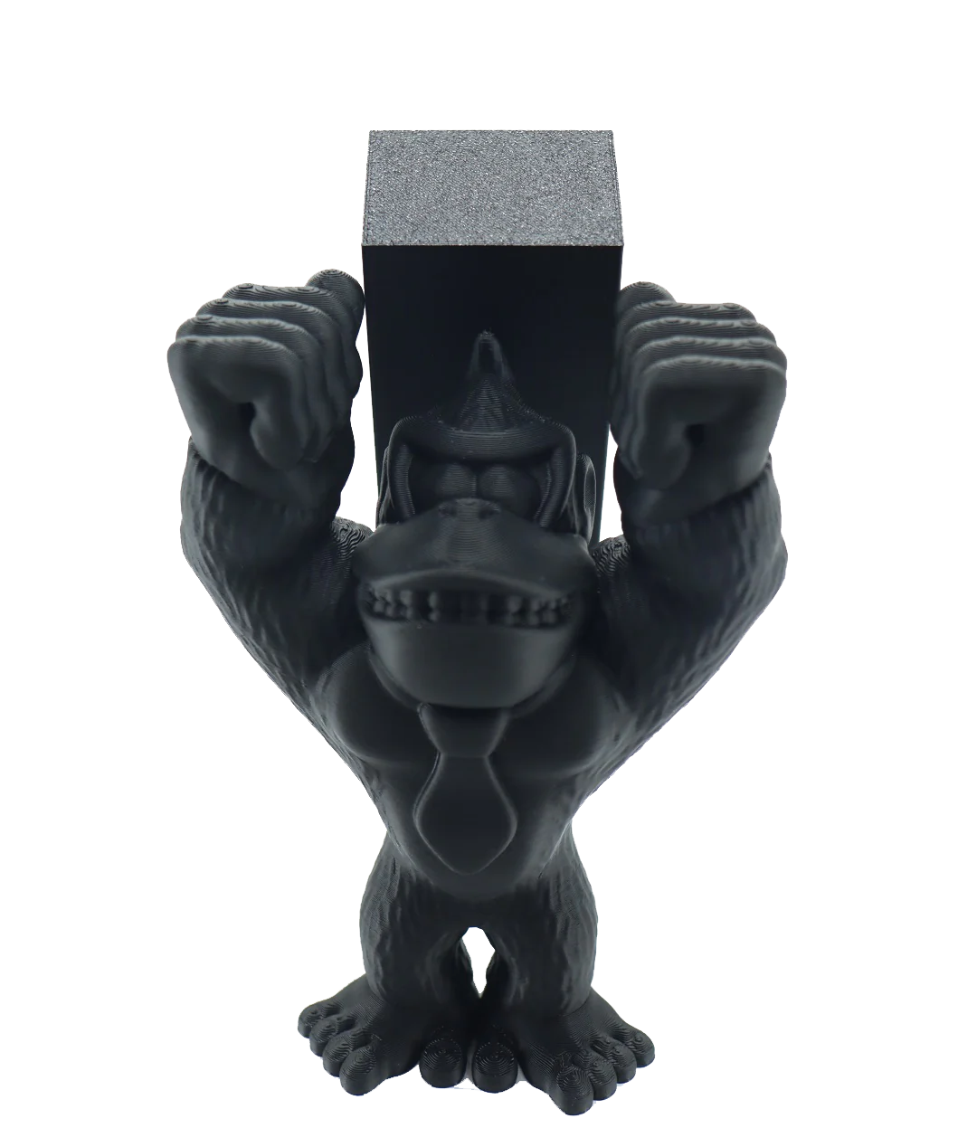 plastina-x-plus-3-hf-2