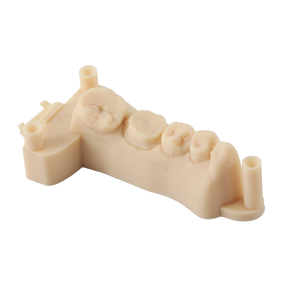 D01S Dental Model Low Shrinkage 3D Printer Resin 3