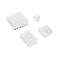 raspberry silver ohlajdenie 0