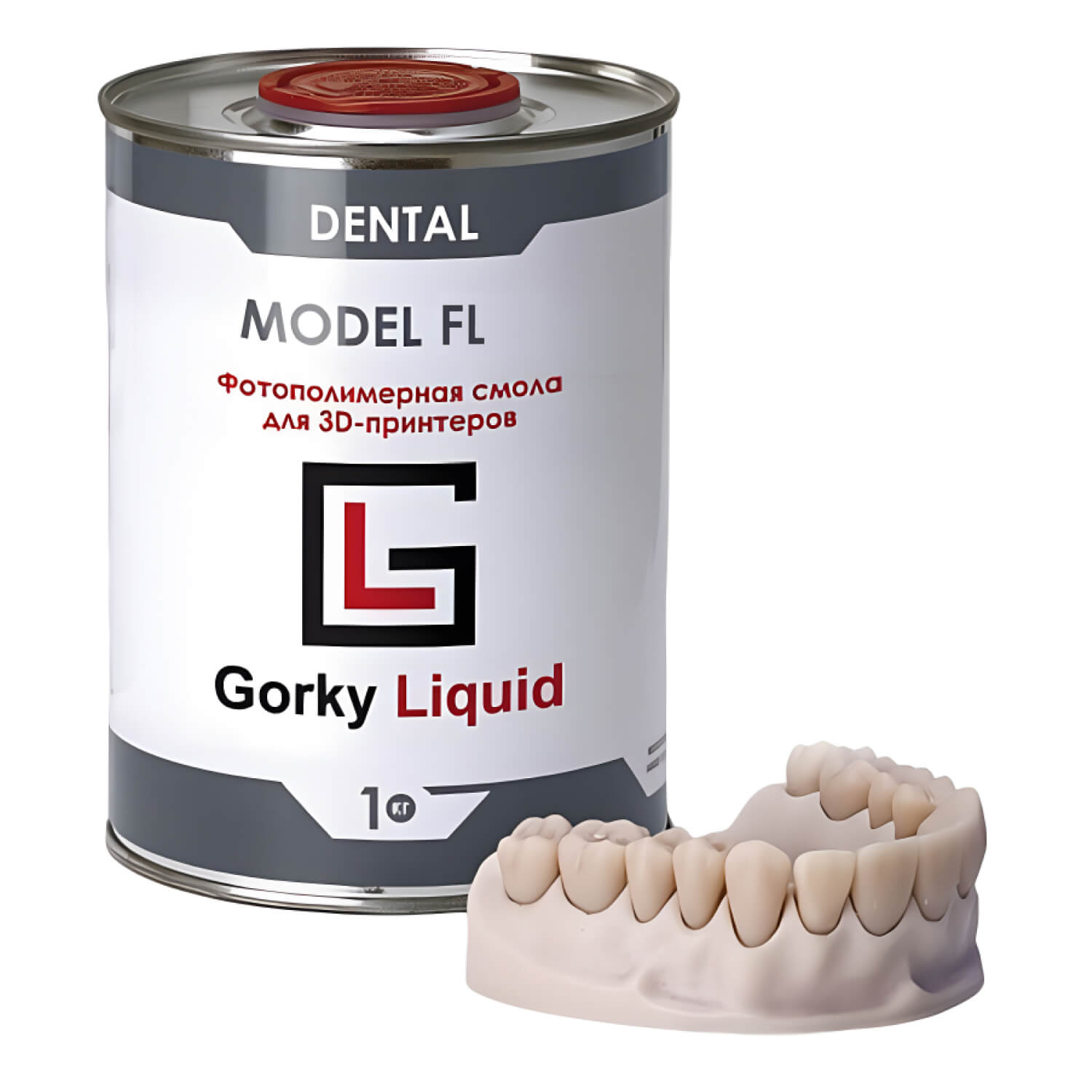 gorky liquid dental model FL